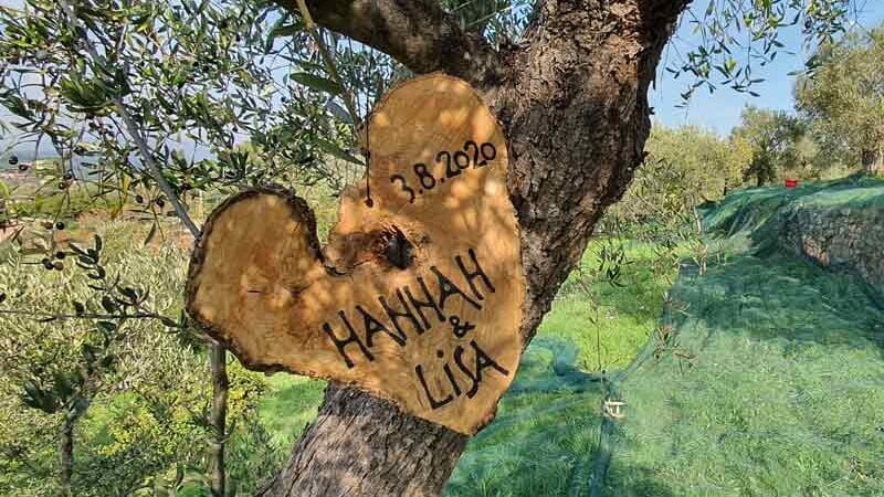 Alles über Olivenbaumpatenschaften Schild am Baum