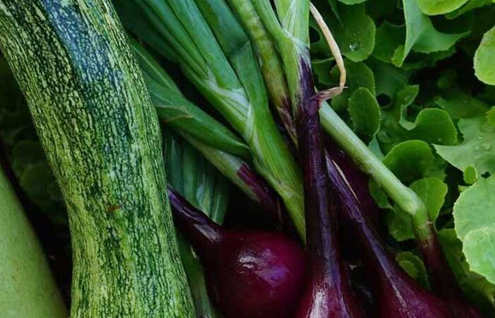 Organic Farm San Martino in Imperia